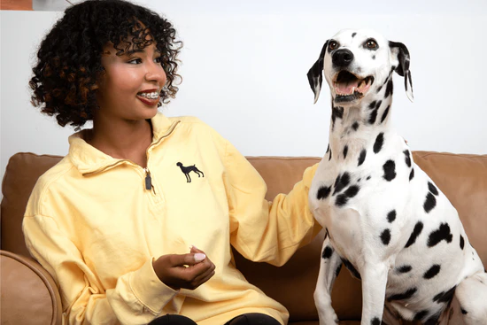 Style for Every Dog Lover